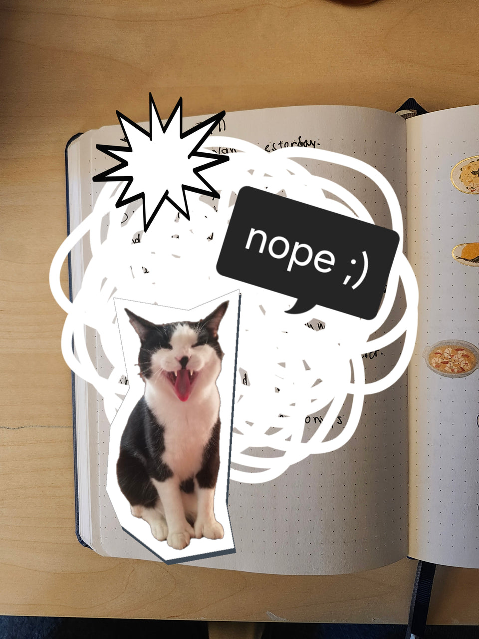 Open notebook with a cat sticker and text bubble on a wooden surface. The journal entry is obscured by a large scribble sticker, a cat sticker, and a star sticker. There is a text box reading "nope"