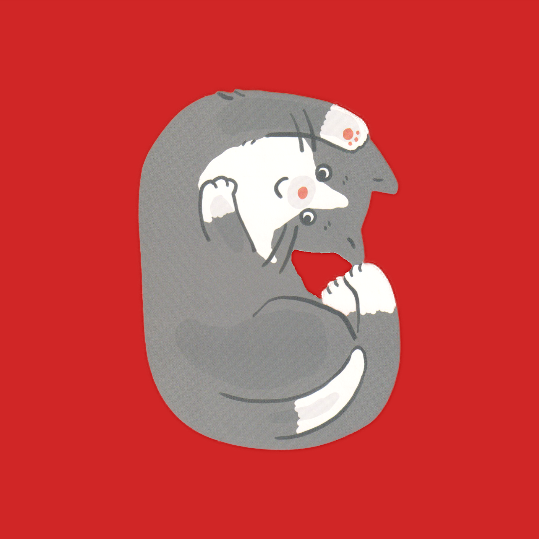 Gyu-Gyu: Tuxedo Silly Jimmy | Greeting Life | Letter Set