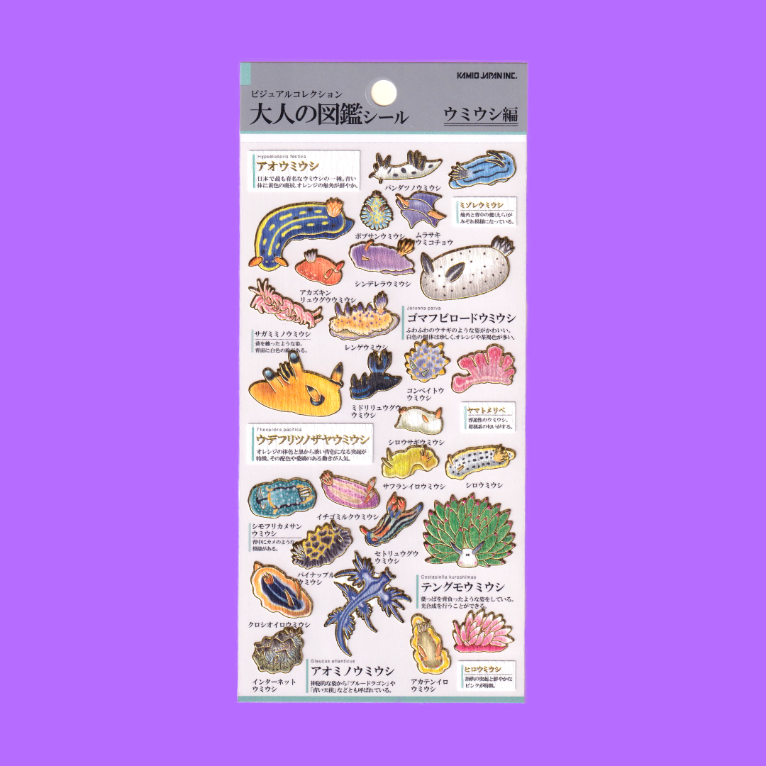 Nudibranchs | Kamio | Sticker Sheet