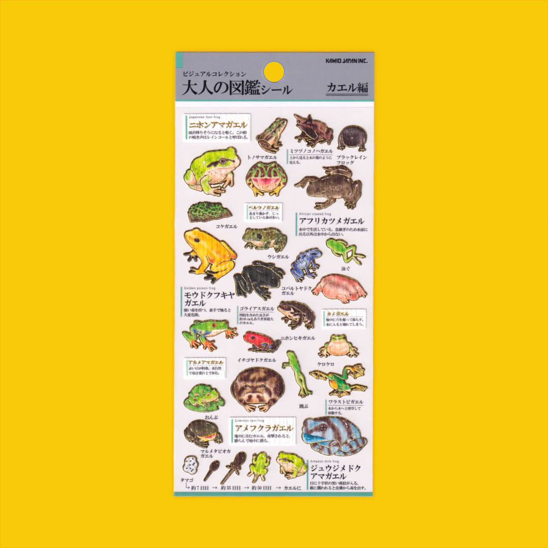 Frogs | Kamio | Sticker Sheet