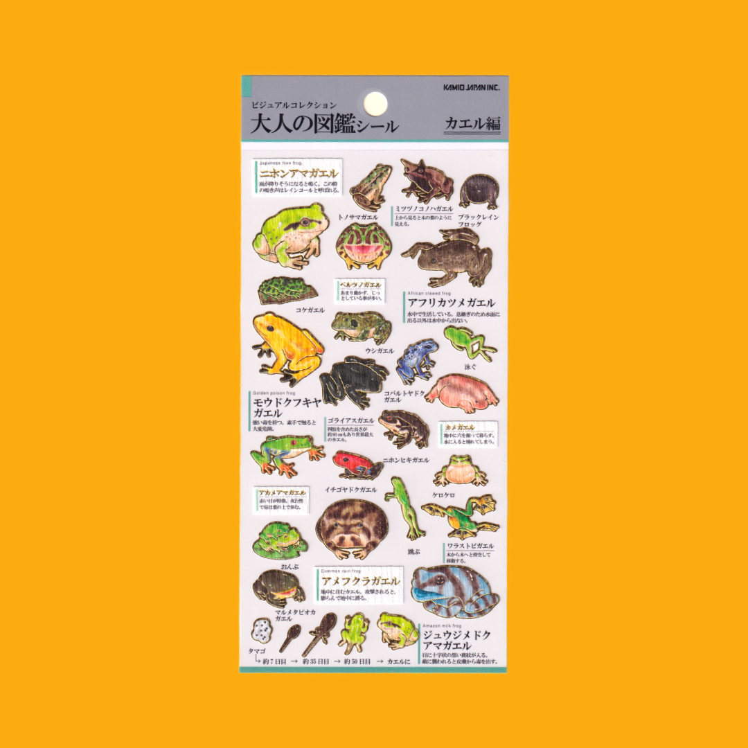 Frogs | Kamio | Sticker Sheet