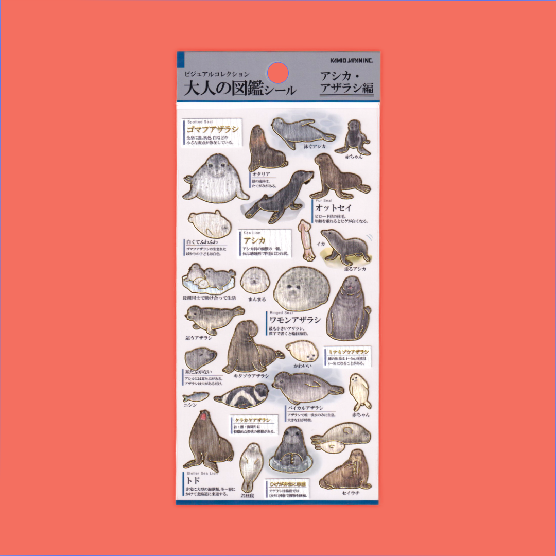 Seals, Sea Lions & Walruses | Kamio | Sticker Sheet