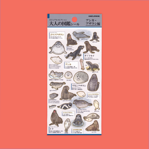 Seals, Sea Lions & Walruses | Kamio | Sticker Sheet