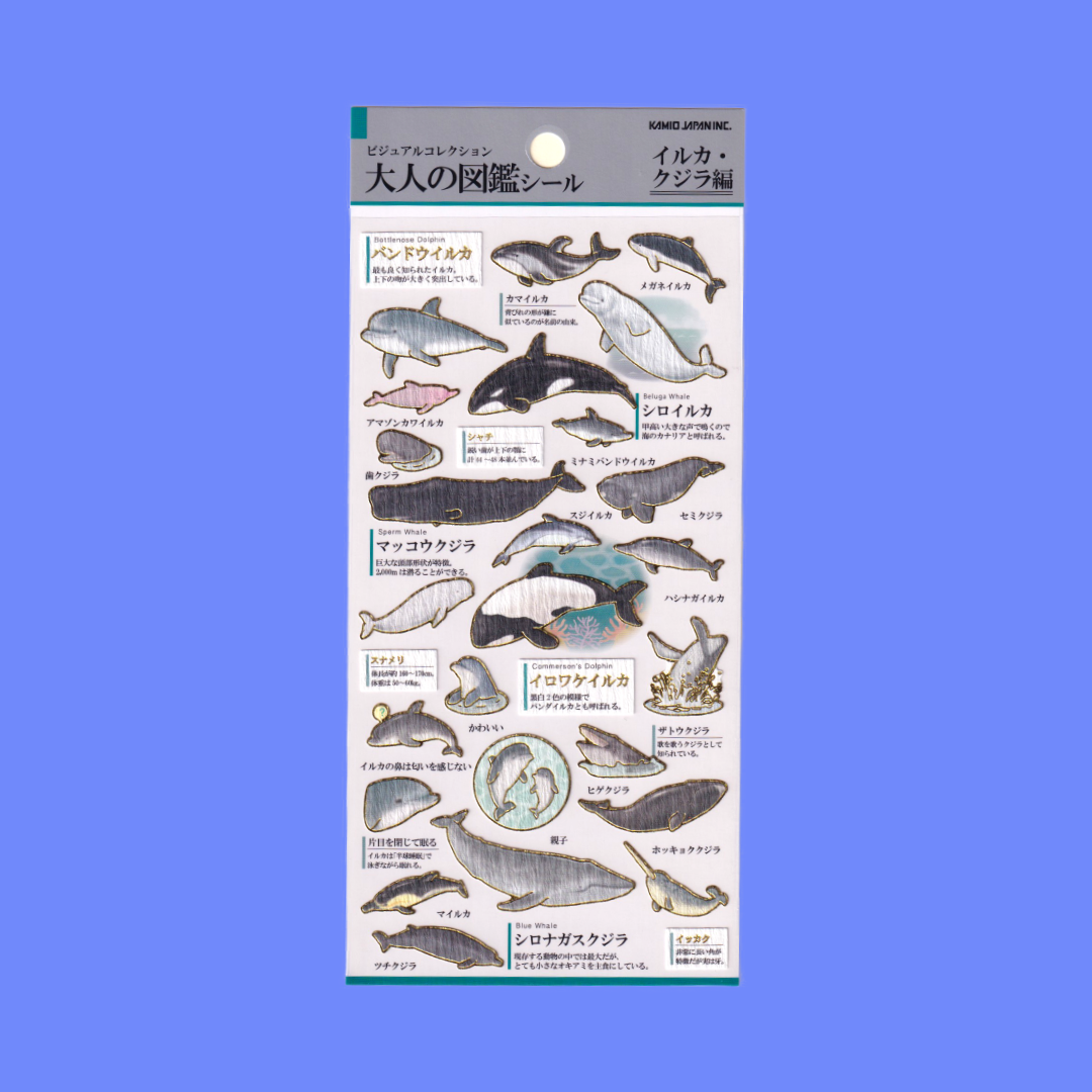 Whales | Kamio | Sticker Sheet