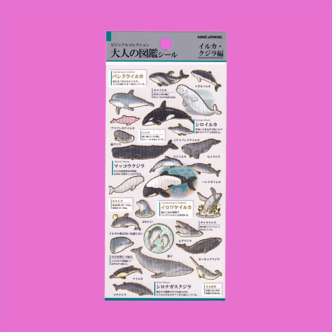 Whales | Kamio | Sticker Sheet