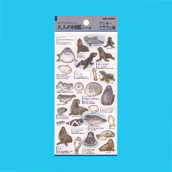 Seals, Sea Lions & Walruses | Kamio | Sticker Sheet