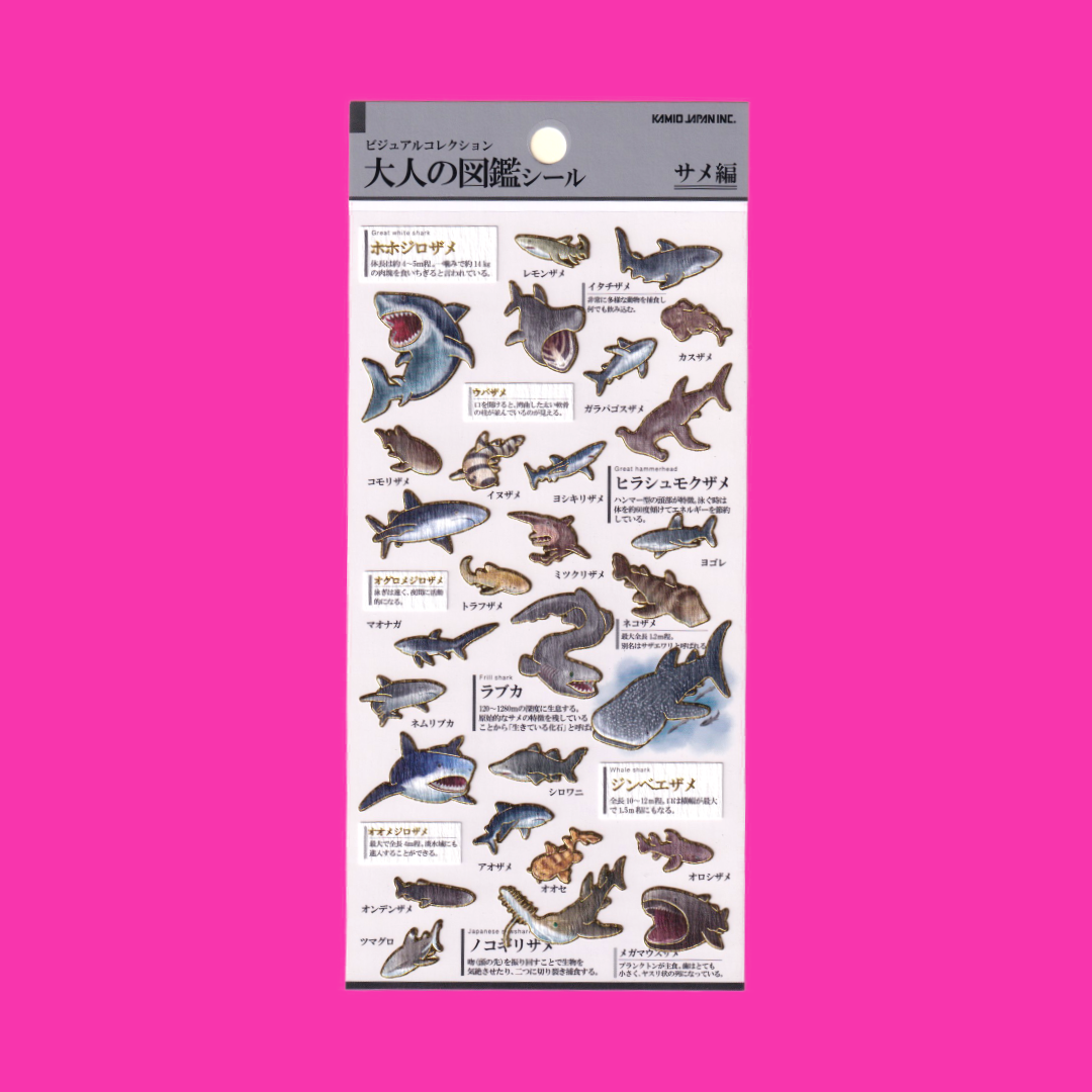 Sharks | Kamio | Sticker Sheet
