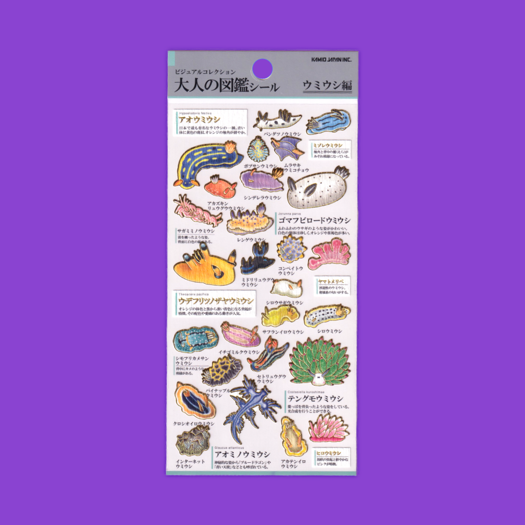 Nudibranchs | Kamio | Sticker Sheet
